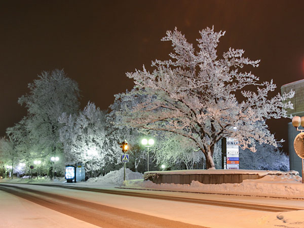 H&auml;meenkatua